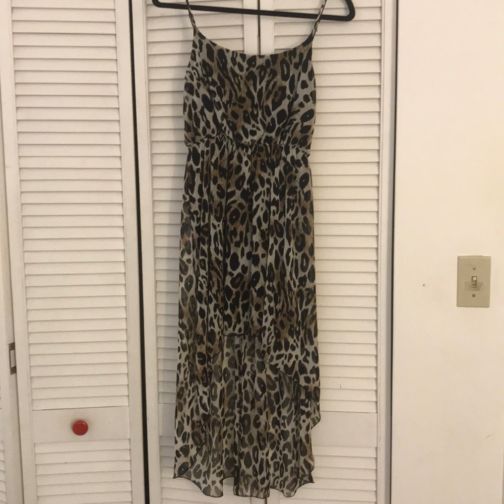 Leopard Print Dress